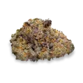 thumb of Purple Gelato Bud
