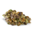 thumb of Purple Kush bud