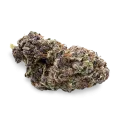 thumb of Purple Punch bud