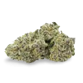 thumb of Purple Urkle bud