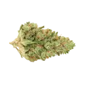 thumb of Rainbow Auto Bud