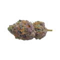 thumb of Red Devil Auto Bud