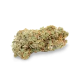 thumb of Sexxpot bud