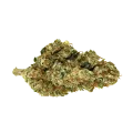 thumb of Skunk #1 Bud