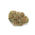 thumb of Snow White bud