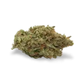 thumb of Somango XXL Bud