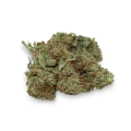 thumb of Sour Diesel bud