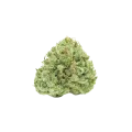 thumb of Stardawg Auto Bud