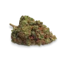 thumb of Strawberry Kush bud