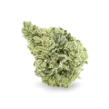 thumb of Sunset Sherbet bud