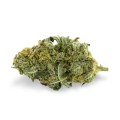 thumb of Tangie bud