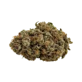 thumb of Watermelon Zkittlez Bud