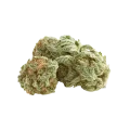 thumb of White Rhino Auto Bud