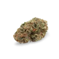 thumb of White Widow bud
