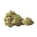 thumb of Yumboldt Banana Auto Bud