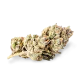 thumb of Zkittlez bud