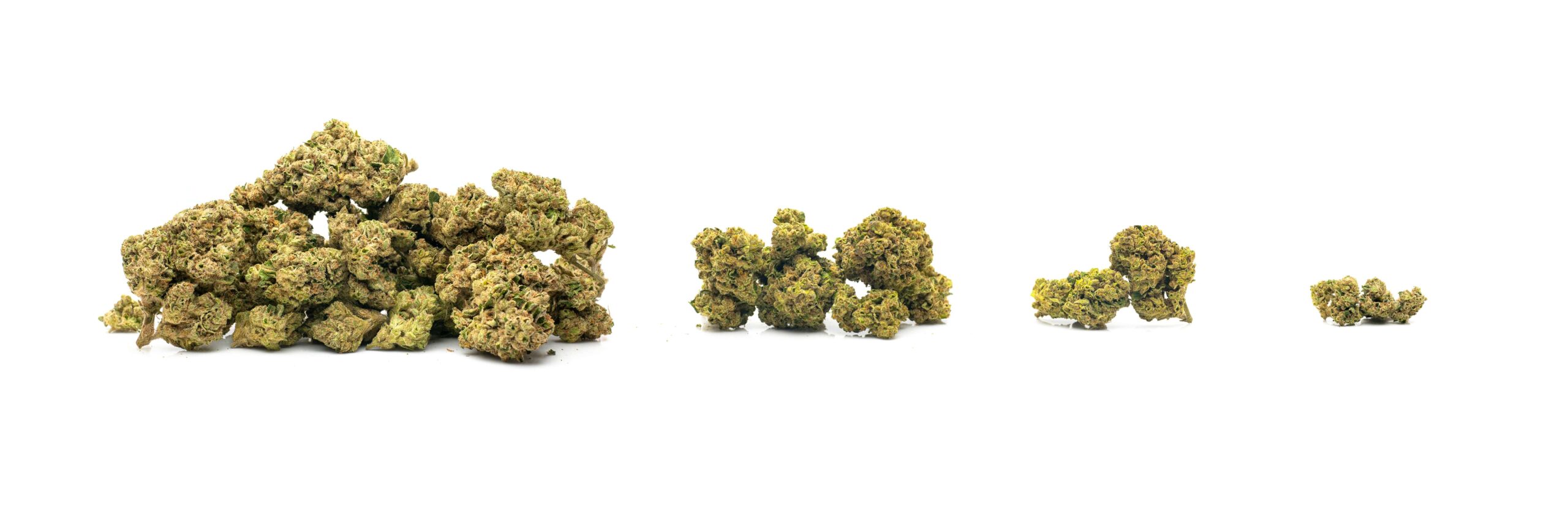 ᐅ Dense Nugs Guide ⇒ How to Grow Dense Buds?